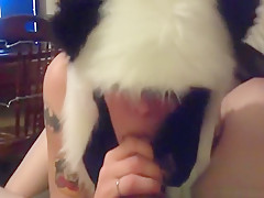 American girl in panda outfit sucks cock and swallows.